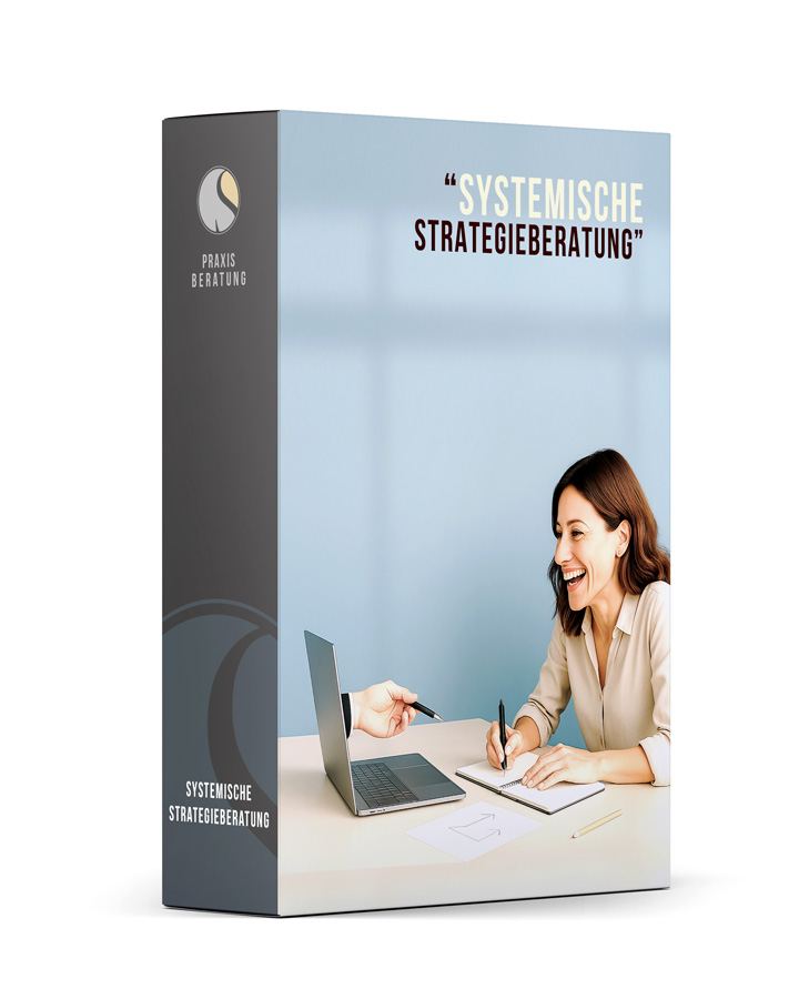 Darstellung einer systemischen Strategieberatung: Heilpraktikerin arbeitet im Beratungsgespräch mit Laptop und Notizen an der strategischen Ausrichtung ihrer Praxis